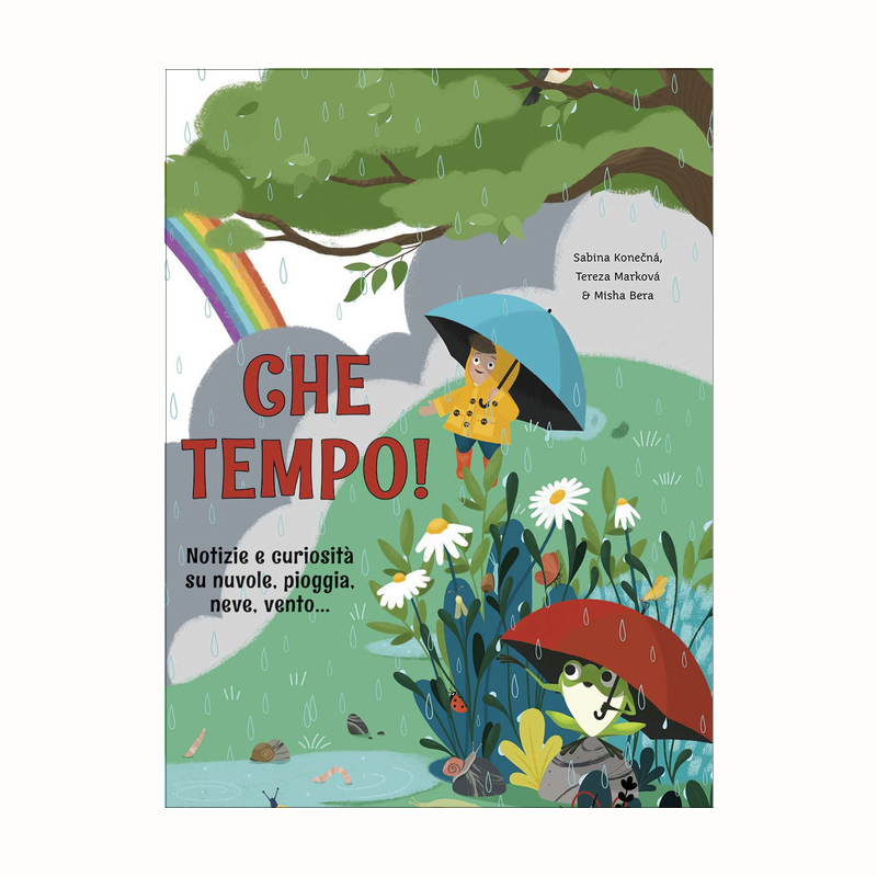 IdeeAli Che tempo! libro bambini 48 pagine