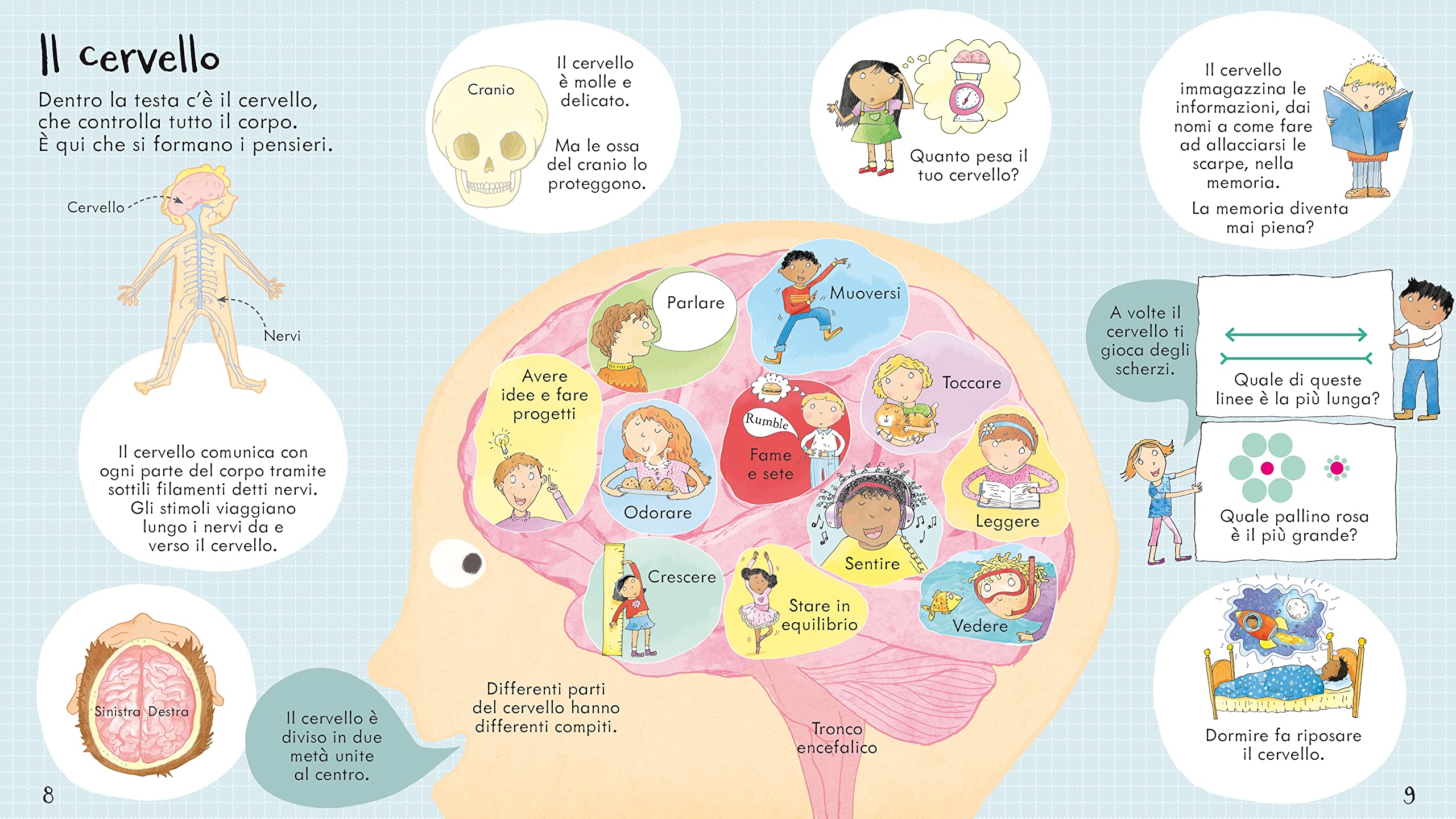 Usborne Il corpo umano libro animato con alette