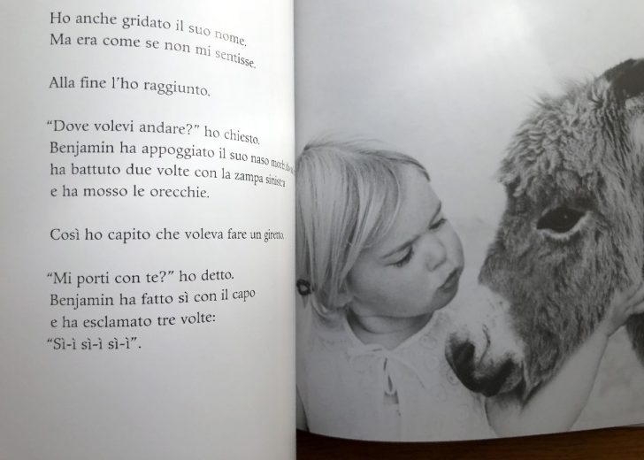 Terre di Mezzo Il Mio Asinello Benjamin Libro 56 Pagine 3-6 Anni