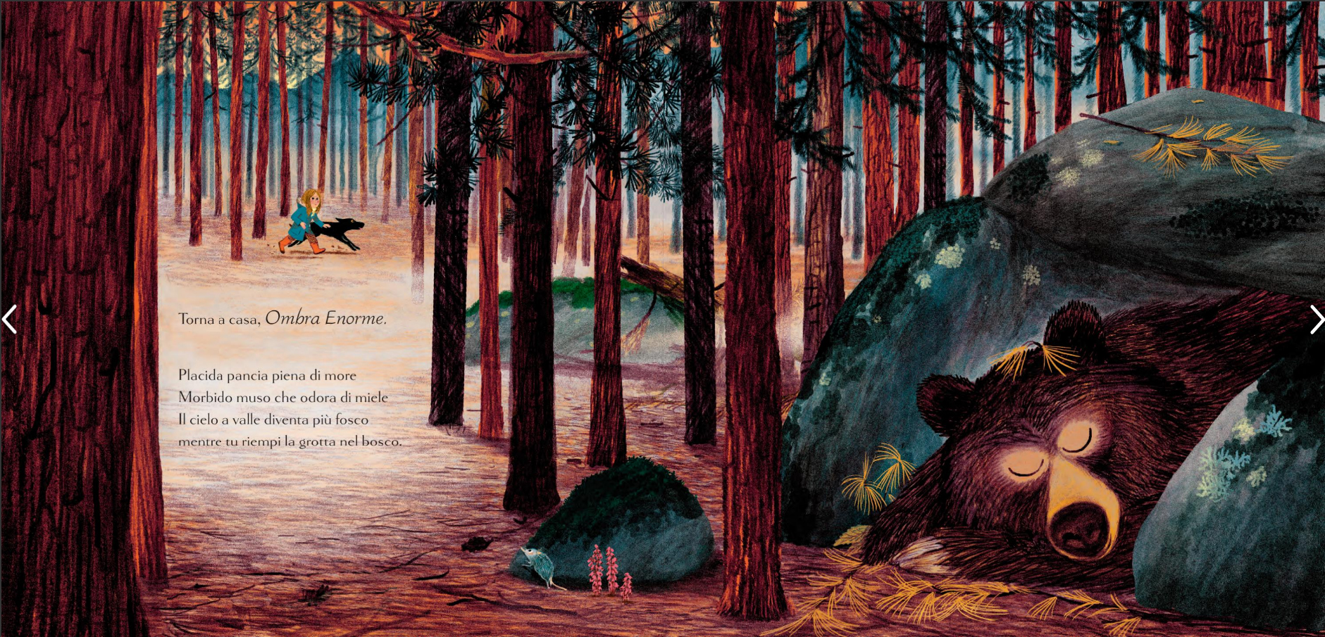 Terre di Mezzo Buonanotte bosco libro in versi 32 pagine