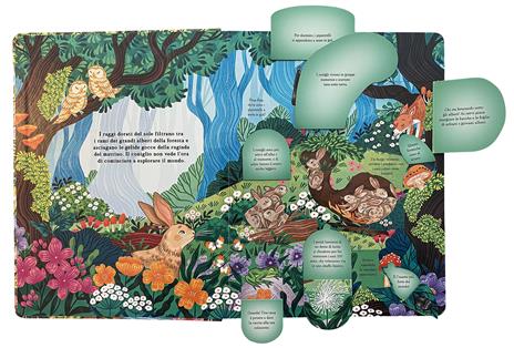 Emme Edizioni Chi si nasconde nella foresta? libro con alette rigido