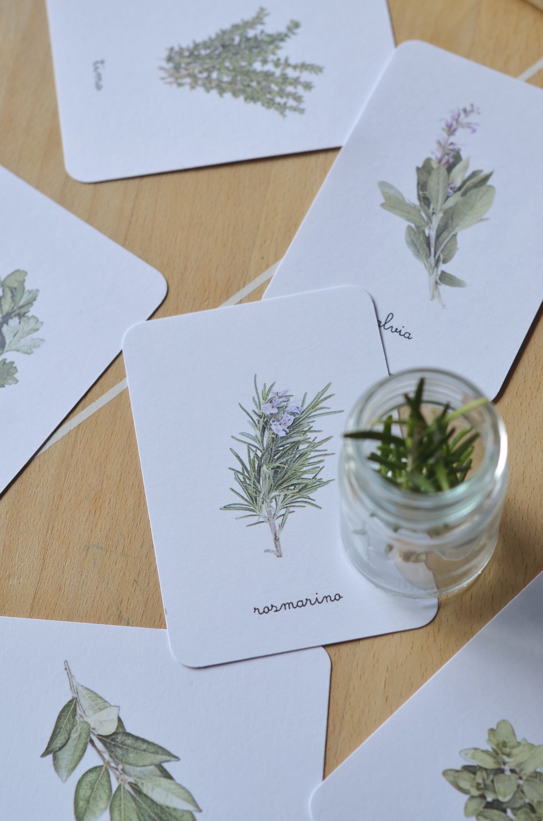 Baboo Erbe aromatiche carte nomenclature montessori pdf