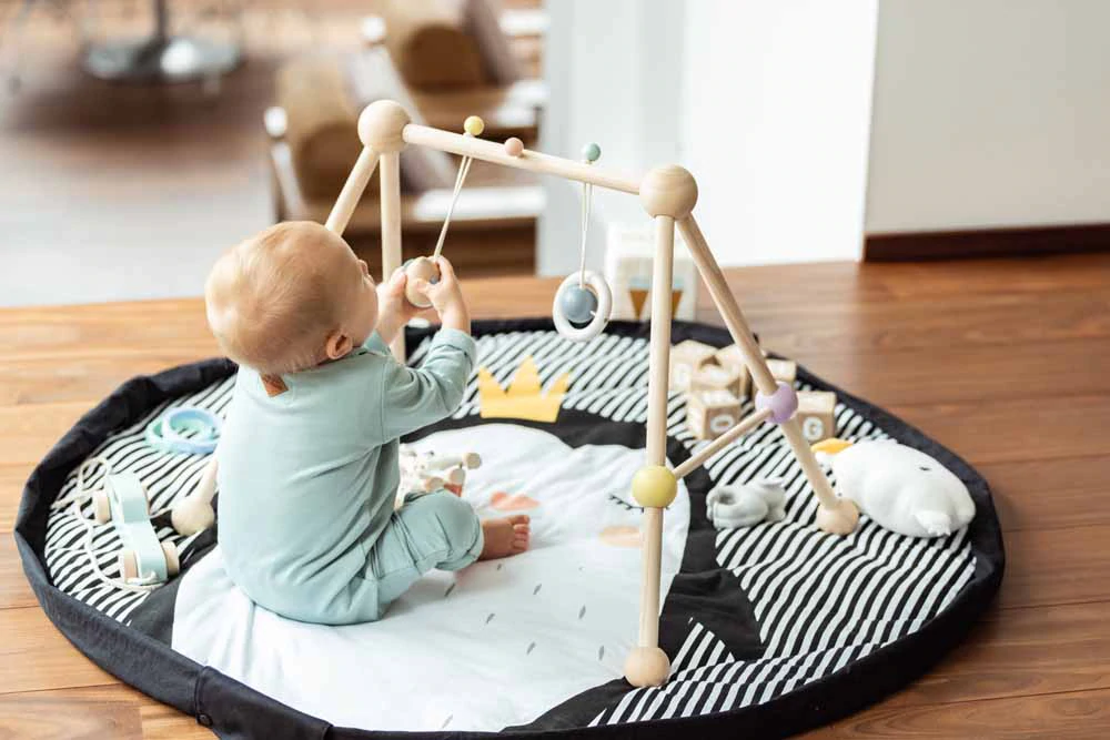 Play&Go Soft 2 in 1 Pinguino sacco portagiochi cotone