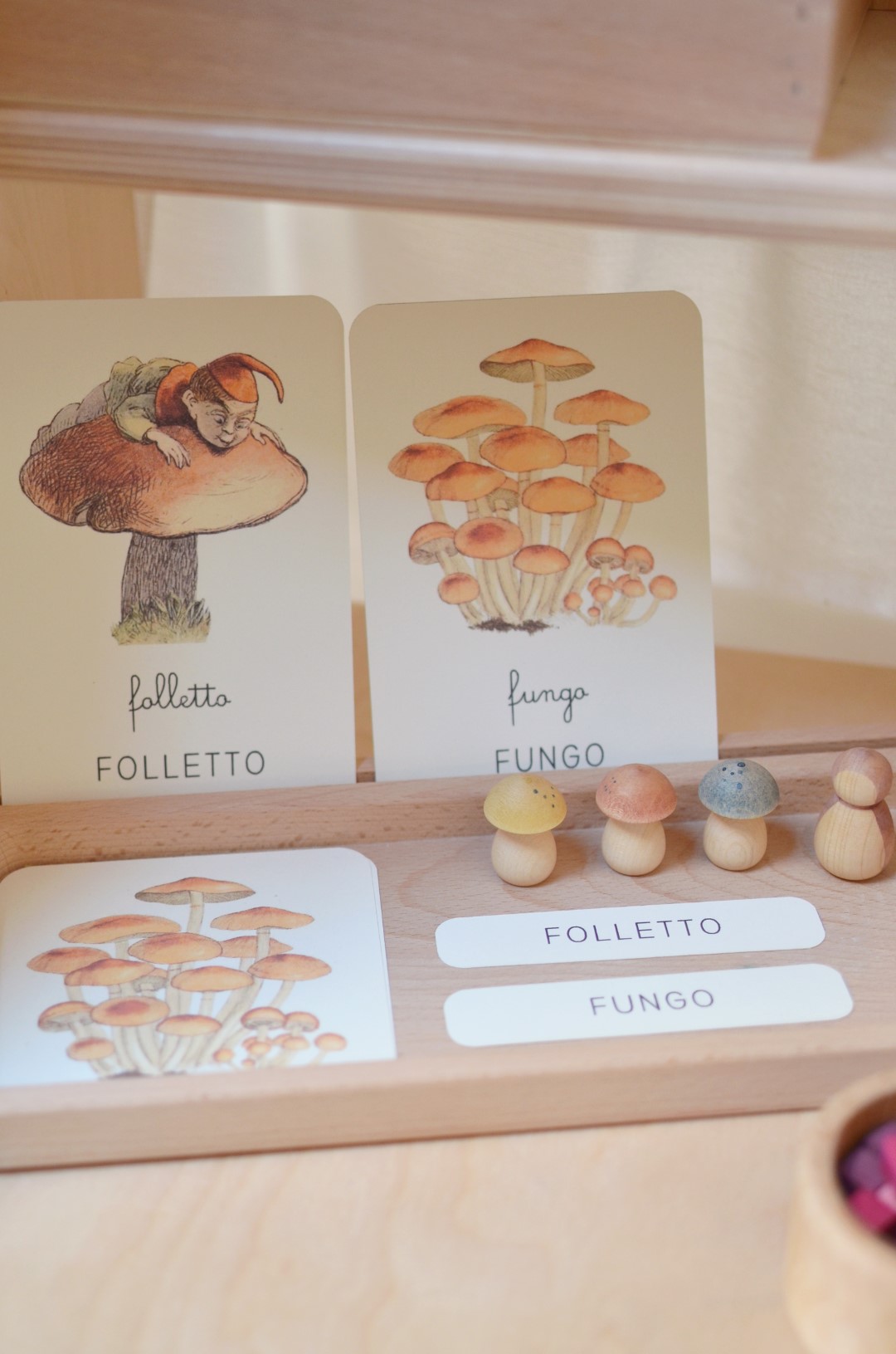 Baboo Abecedario Lettera F Felce PDF schede 4 anni