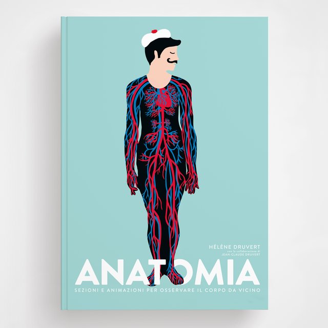 Ippocampo Anatomia libro corpo con finestrelle 8 anni