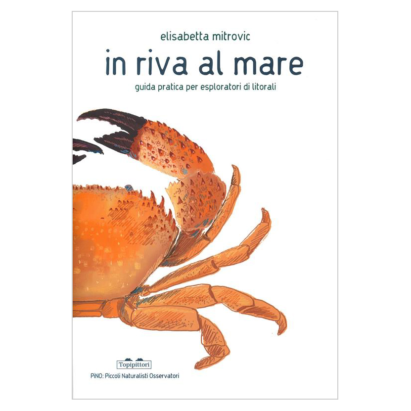 Topipittori PiNO In riva al mare libro bambini 32 pp