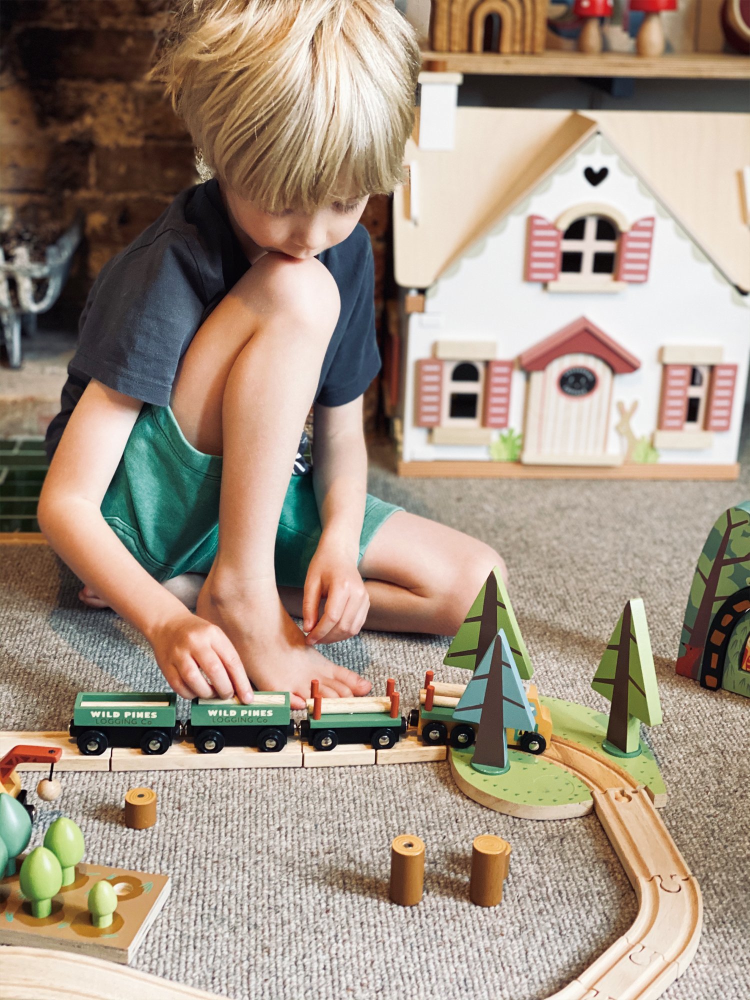 Tender Leaf Wild Pines Forest Set Trenino Legno 30 Binari