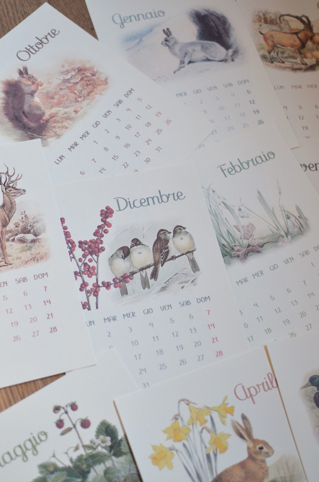 Baboo calendario 12 mesi 2025 PDF A4 da stampare 3 anni+