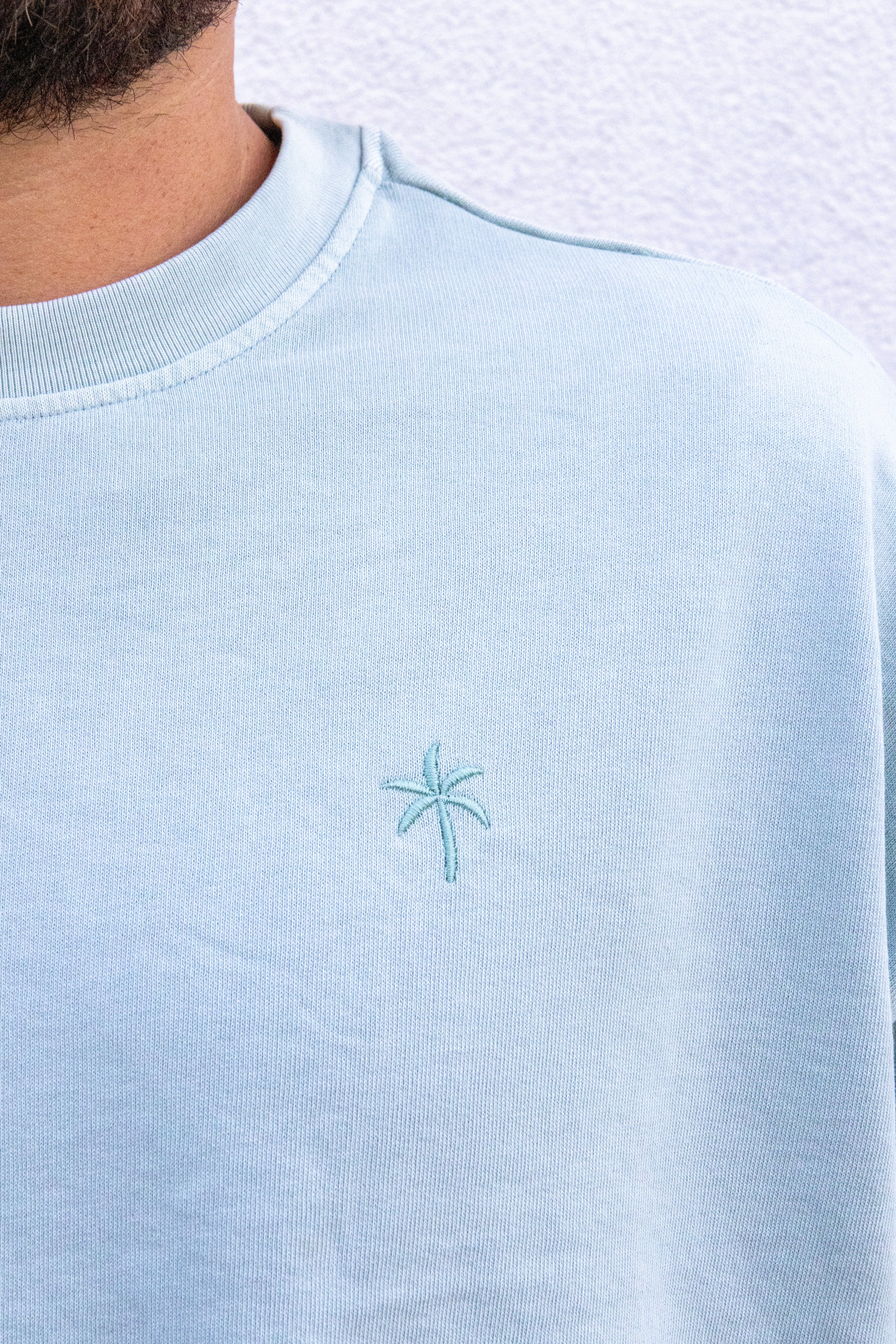 Ella and Rapha Palmtree felpa uomo blu loose cotone
