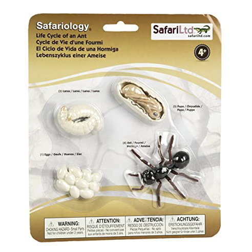 Safari Ltd Ciclo Vita Formica set 4 figure resina