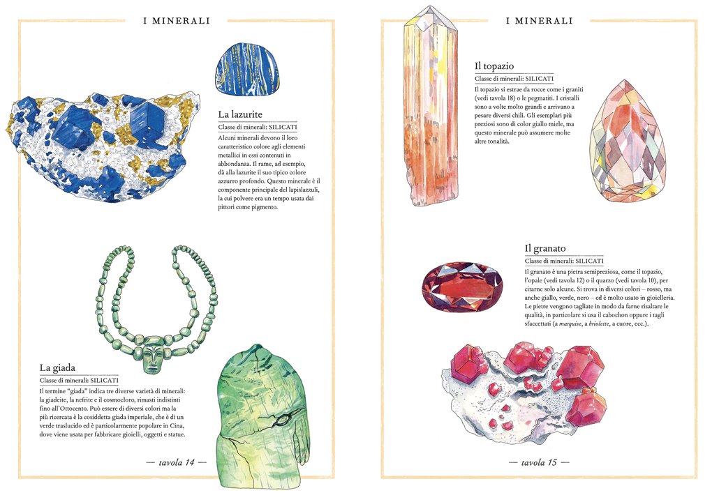 L'Ippocampo Inventario minerali libro da 6 anni
