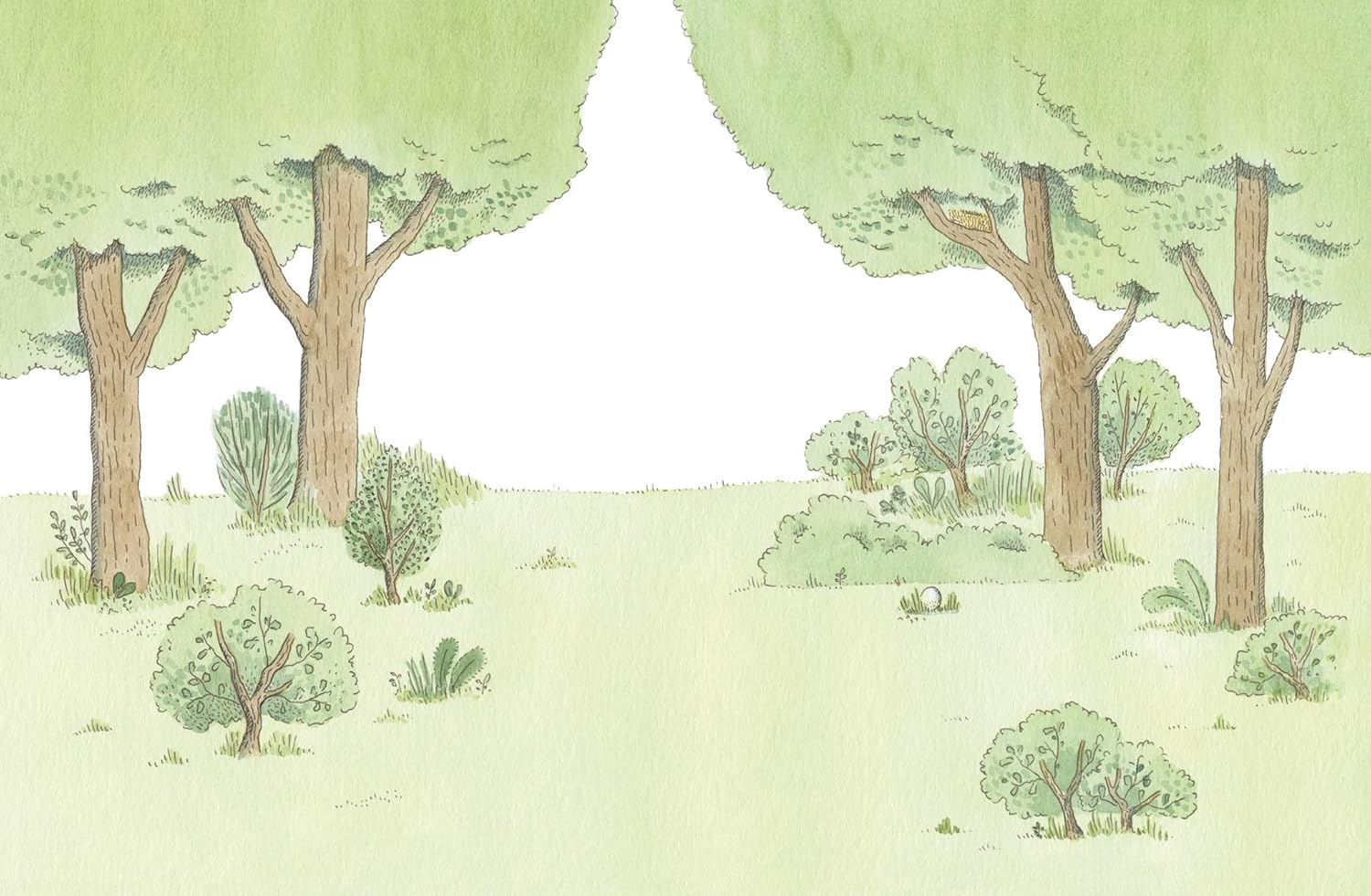 Orecchio Acerbo Tocca a te! libro illustrato 4 anni