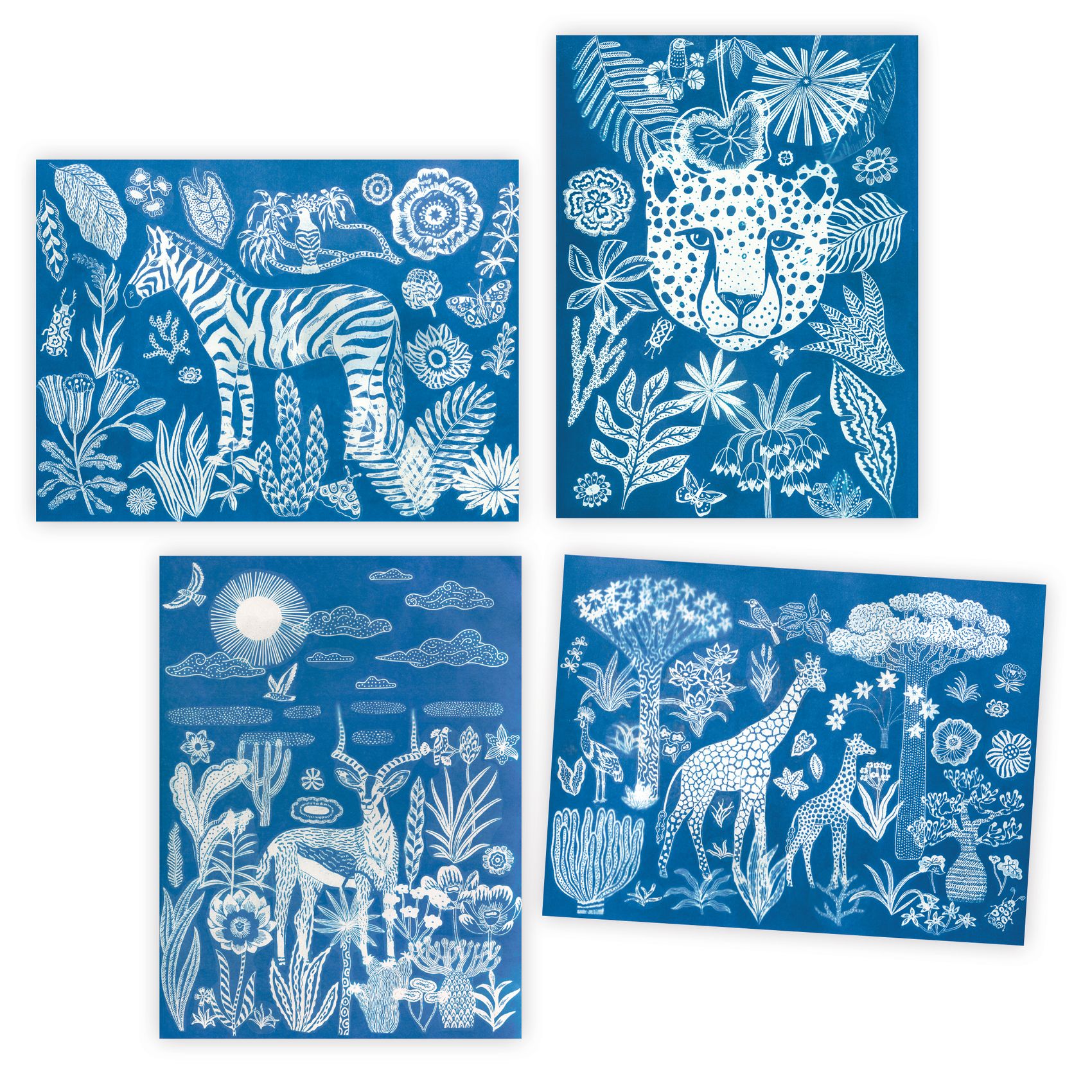 Djeco Night Time in the Savannah kit cianotipia 4 quadri