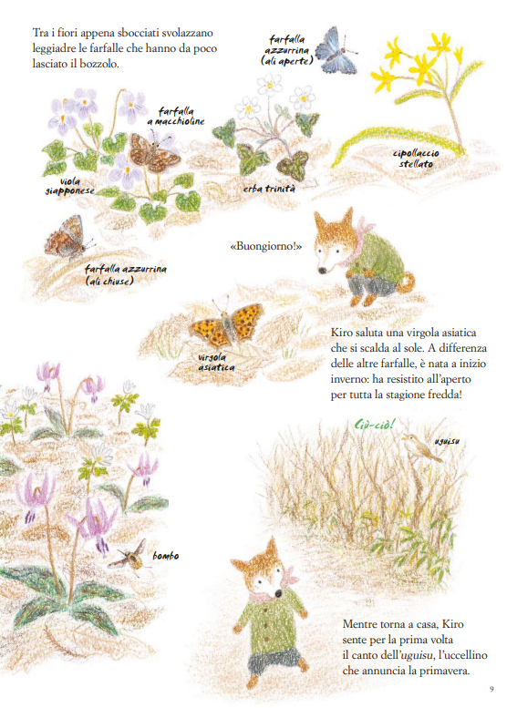Fabbri Fiori che sbocciano e raggi di sole libro 48 pagine 3-6 anni