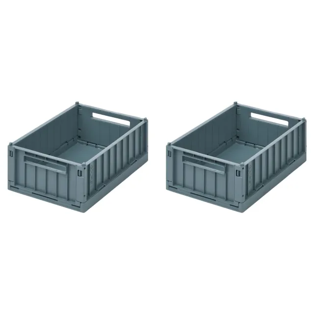 Liewood Weston M Whale Blue contenitori 2 pezzi
