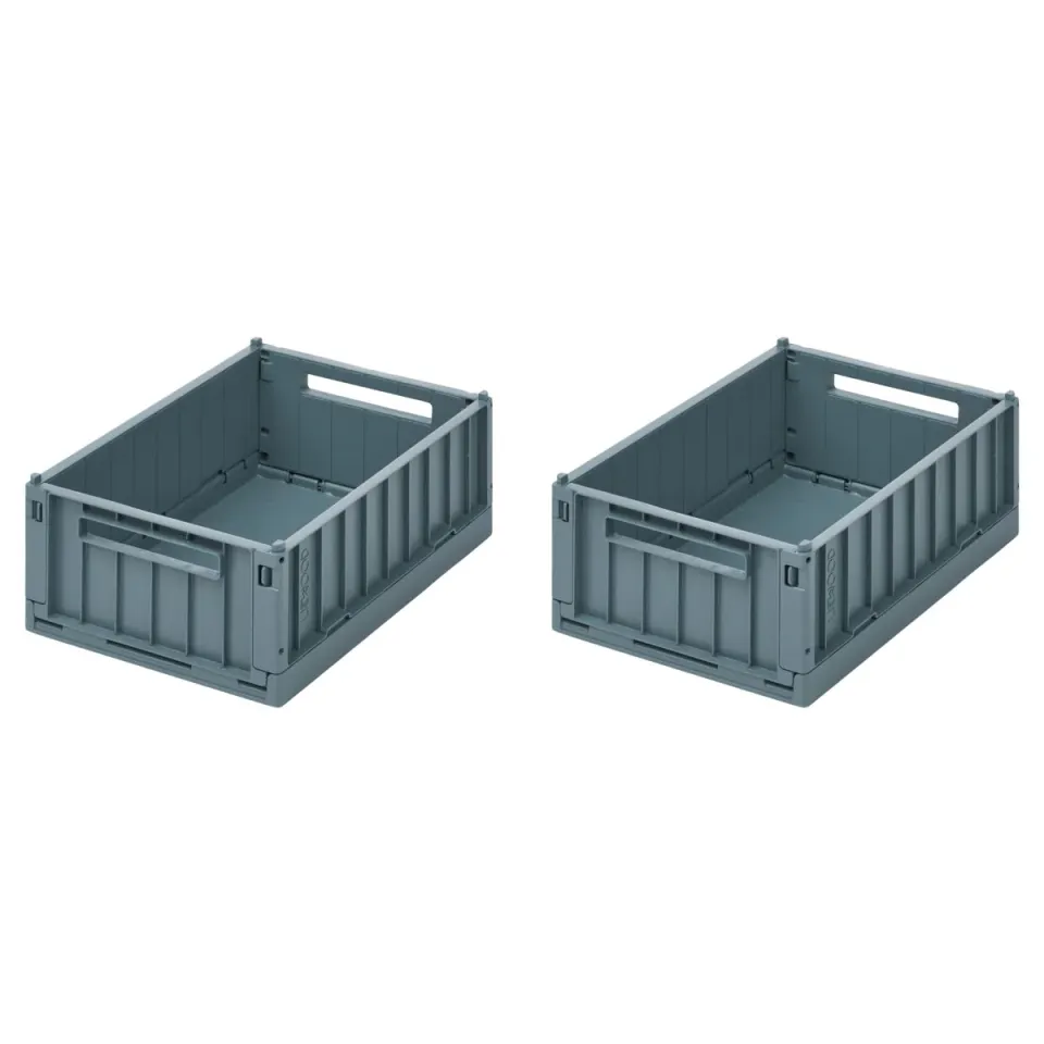 Liewood Weston M Whale Blue contenitori 2 pezzi