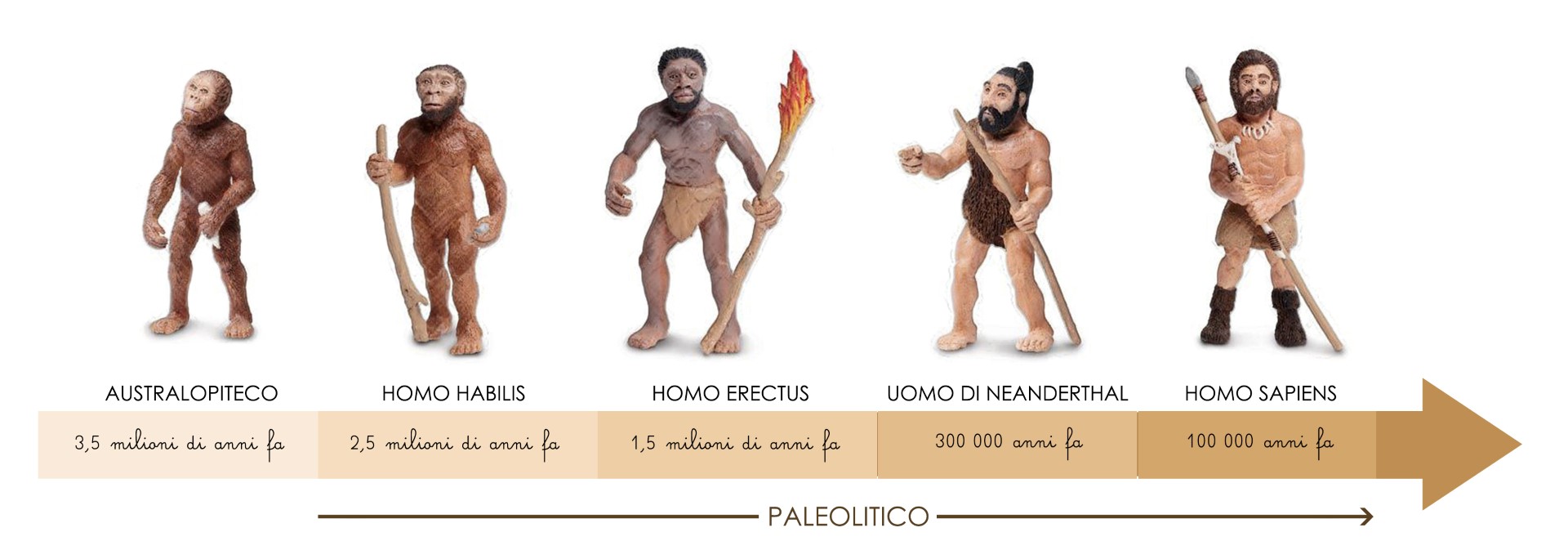 Safari Ltd Evoluzione Uomo set 5 figure preistoria