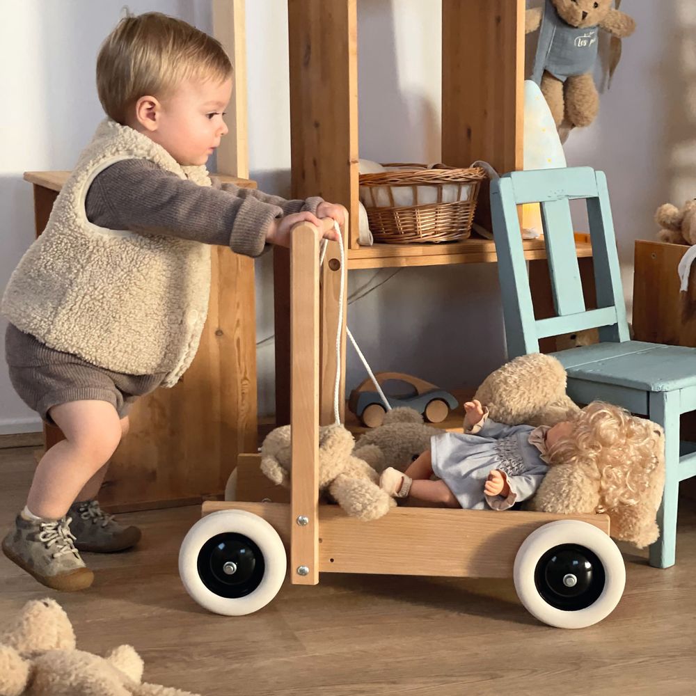 Egmont Toys Carrello Primi Passi in legno ruote gommate 12m+