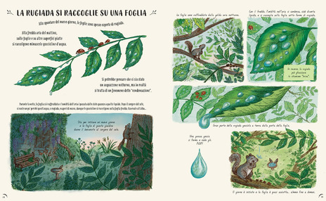 Giunti Piano piano libro natura 50 storie 128 pagine