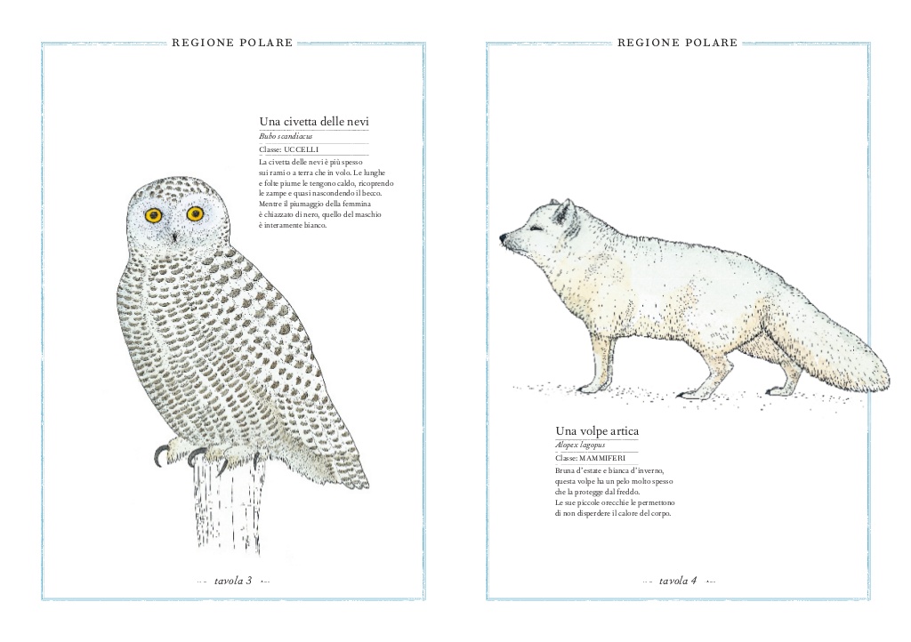 L'Ippocampo Inventario illustrato degli animali libro bambini