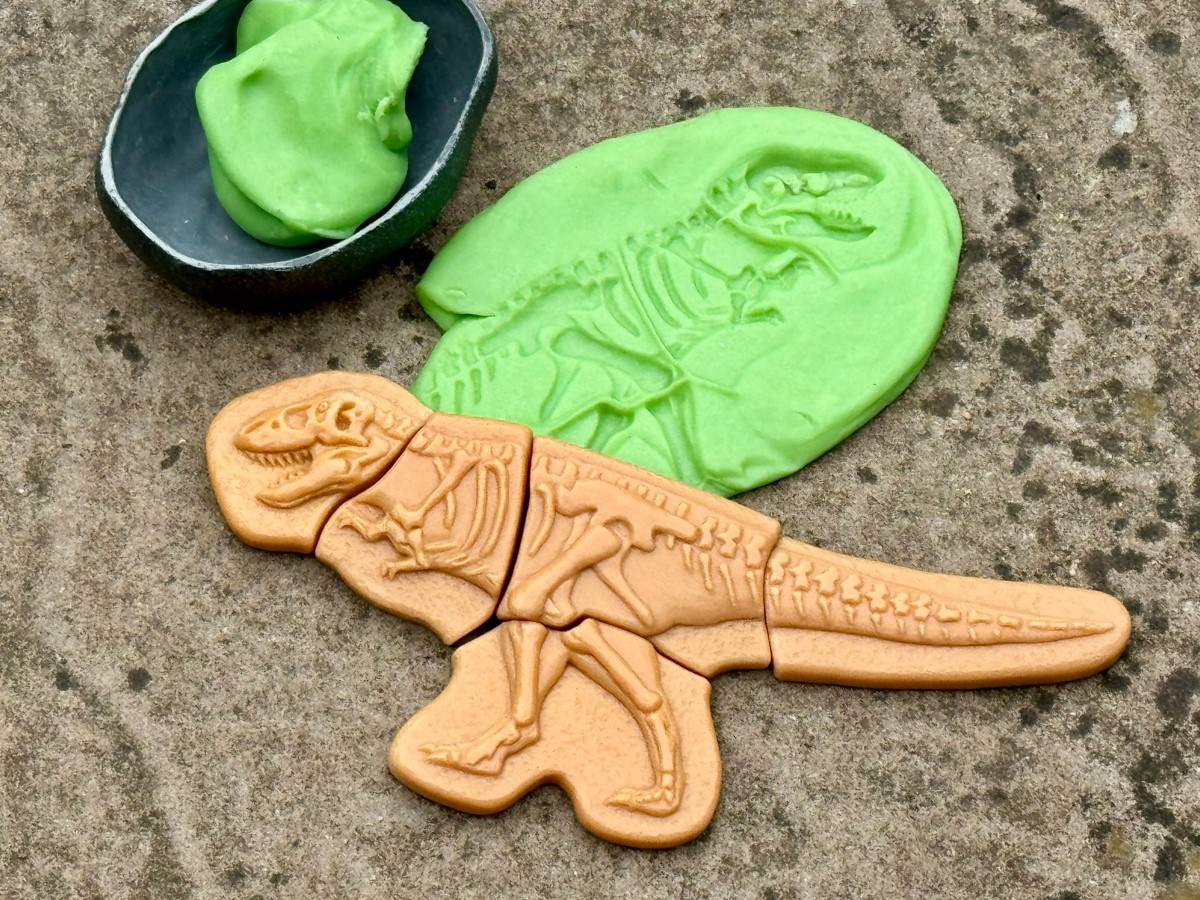 Yellow Door Anchilosauro Tirannosauro fossili dinosauri bambini