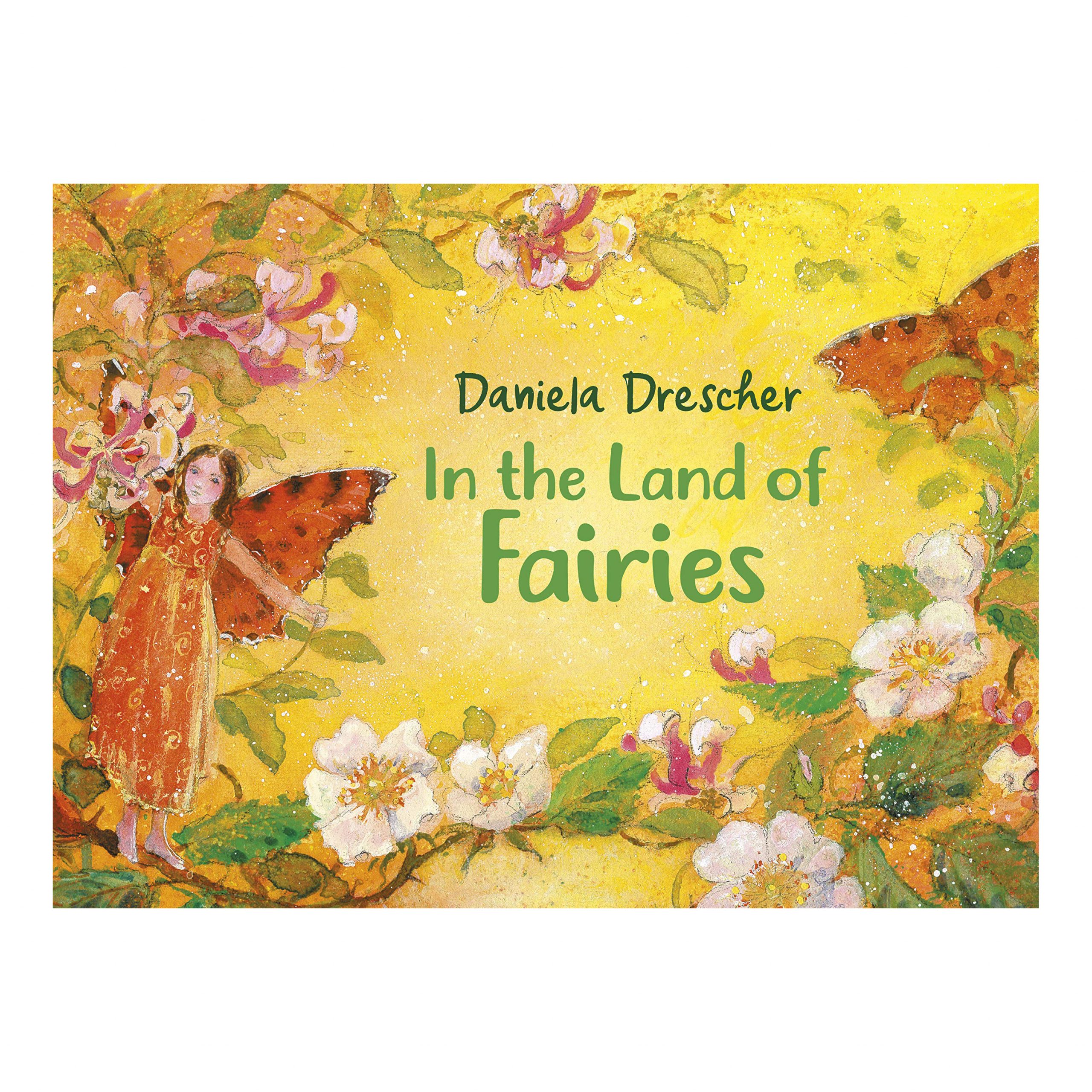 Daniela Drescher In the Land of Fairies Libro Illustrato 3-6 Anni