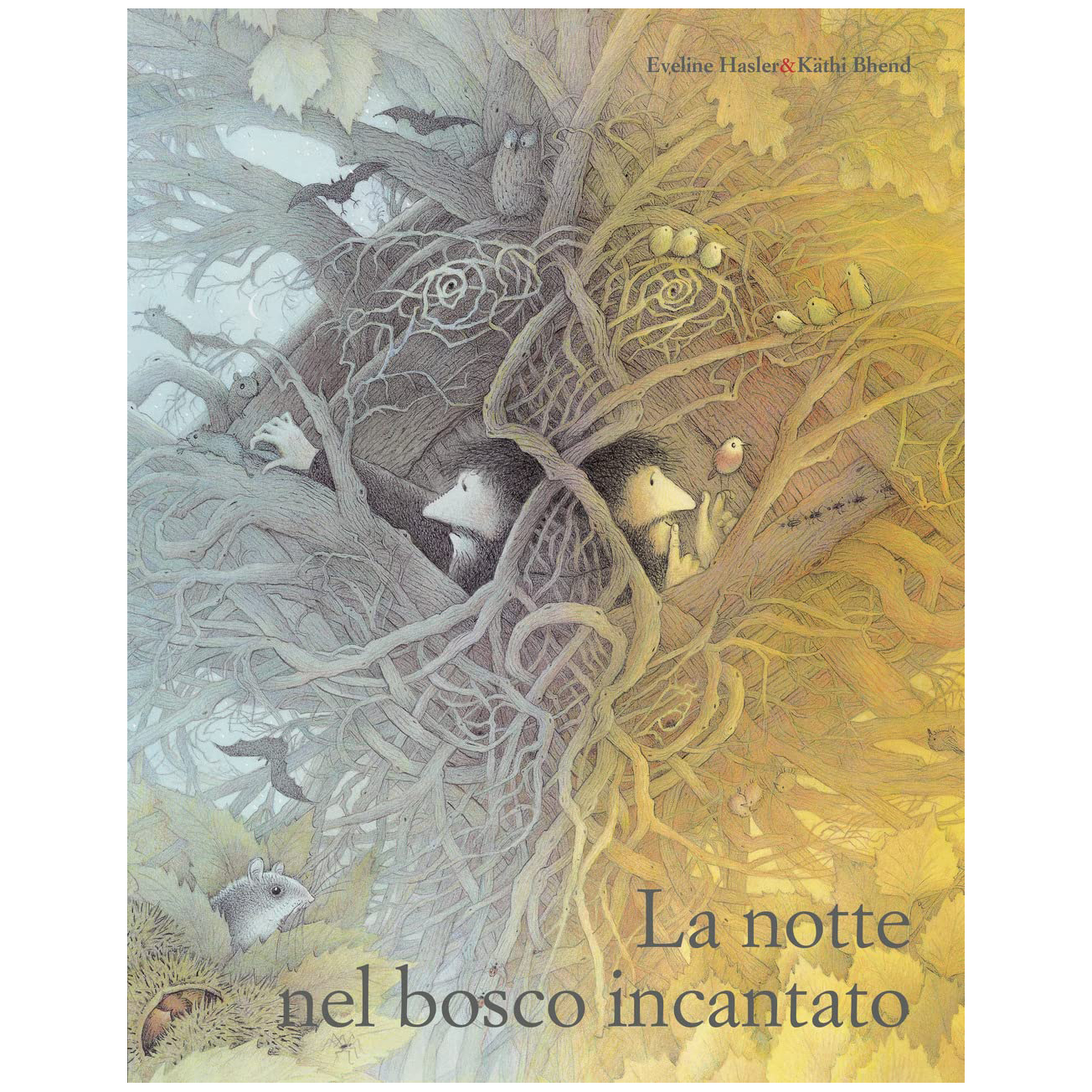 Marameo Notte nel Bosco Incantato Libro 32 Pagine