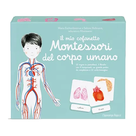 L’Ippocampo Montessori Corpo Umano cofanetto bambini