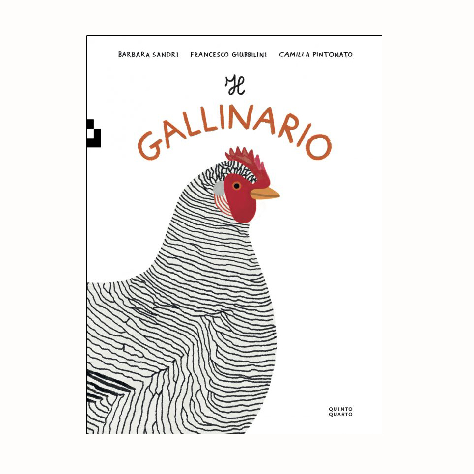 Il Gallinario libro illustrato galline 80 pagine dai 6 anni