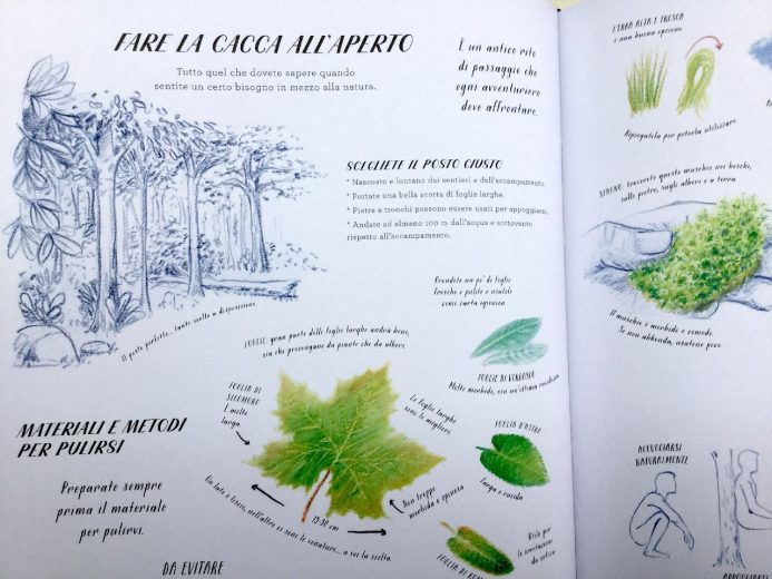 L'Ippocampo Avventure Perdute libro cartonato 8-10 anni