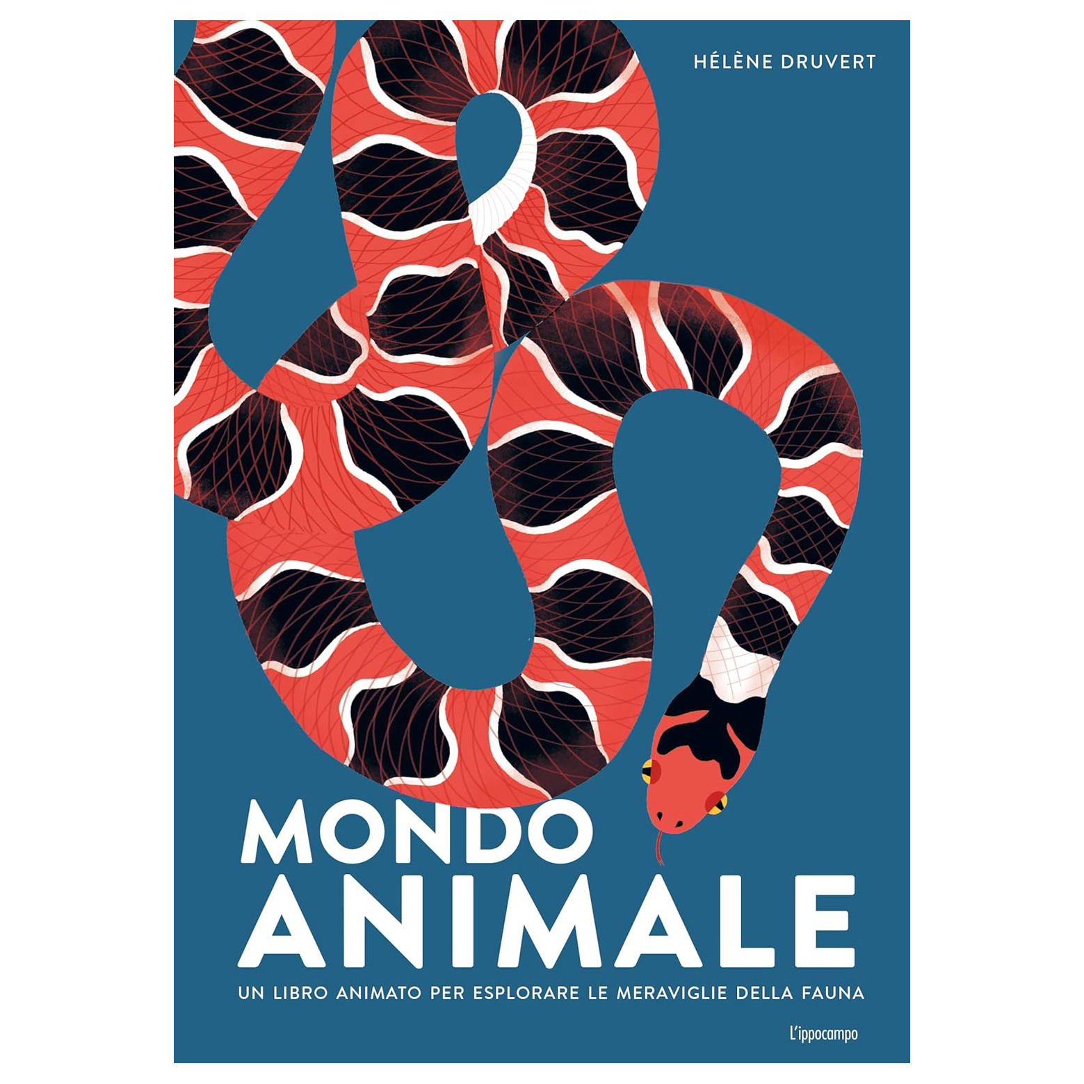 Ippocampo mondo animale libro animato 48 pagine