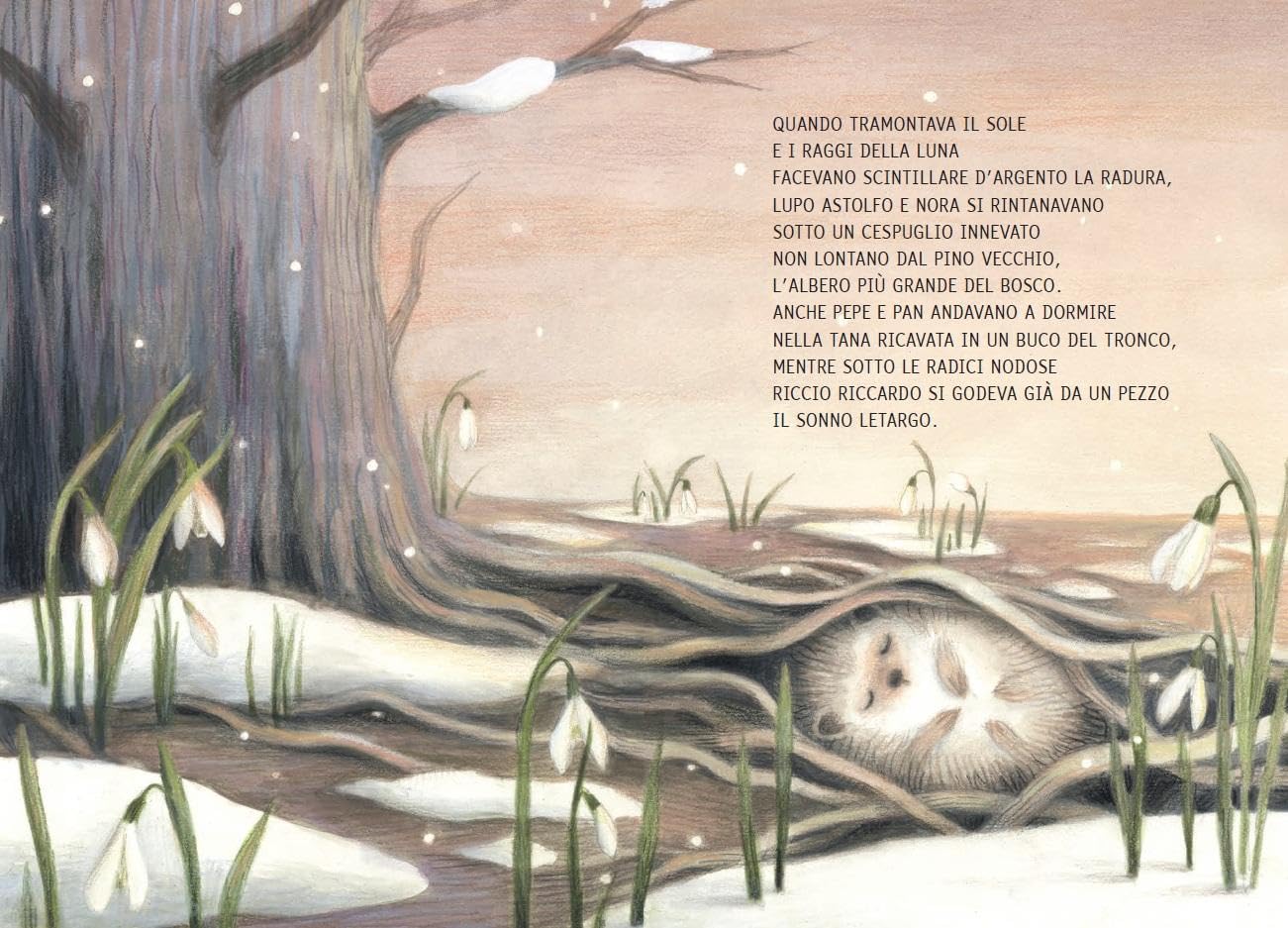 Gallucci Lupo Astolfo inverno ghiacciolo libro tascabile