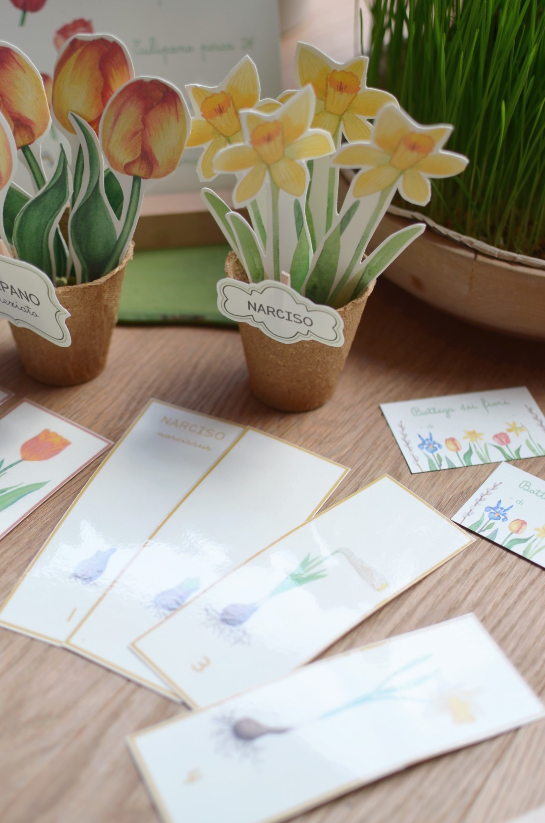 Set 6 vasetti giardinaggio biodegradabili diametro 6 cm