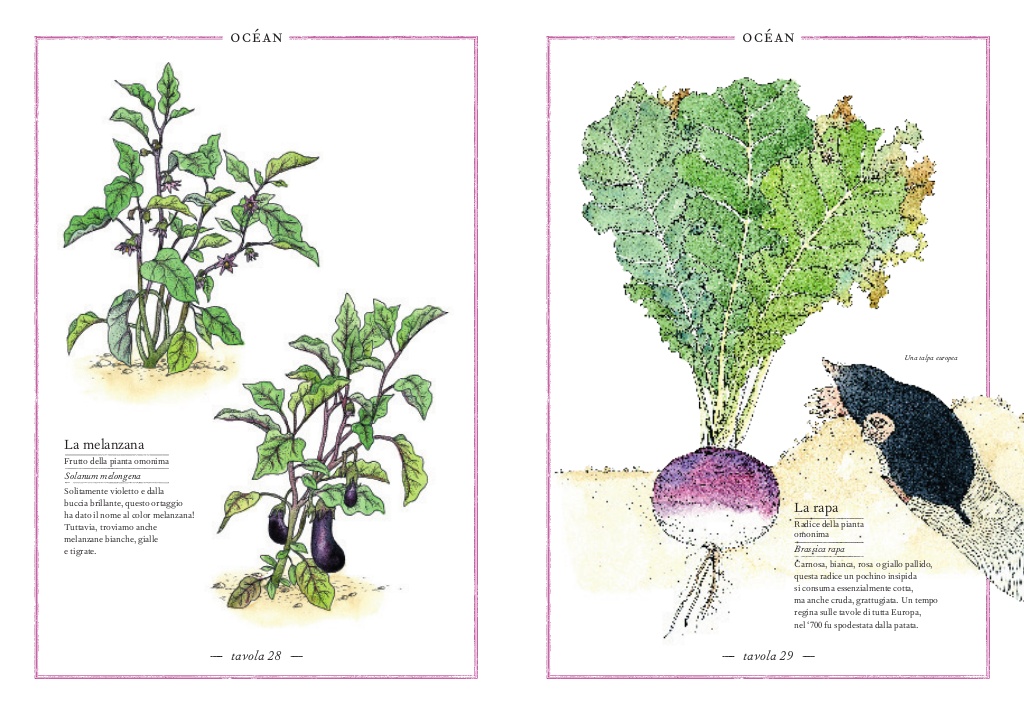 L'Ippocampo Inventario Illustrato Frutti e Ortaggi libro cartonato 6-9 anni