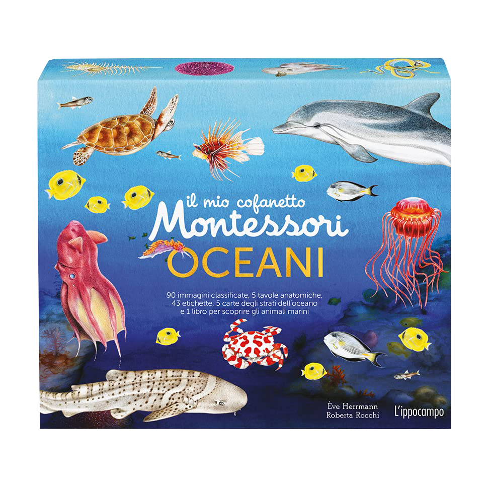 L'Ippocampo Cofanetto Montessori Oceani con Carte e Libro