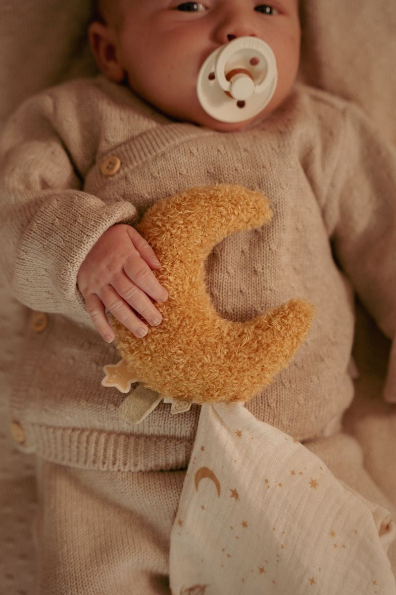 Little Dutch Little Goose cofanetto regalo neonato 0 mesi