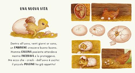 Giunti Piano piano Intorno a te libro cartonato 2 anni