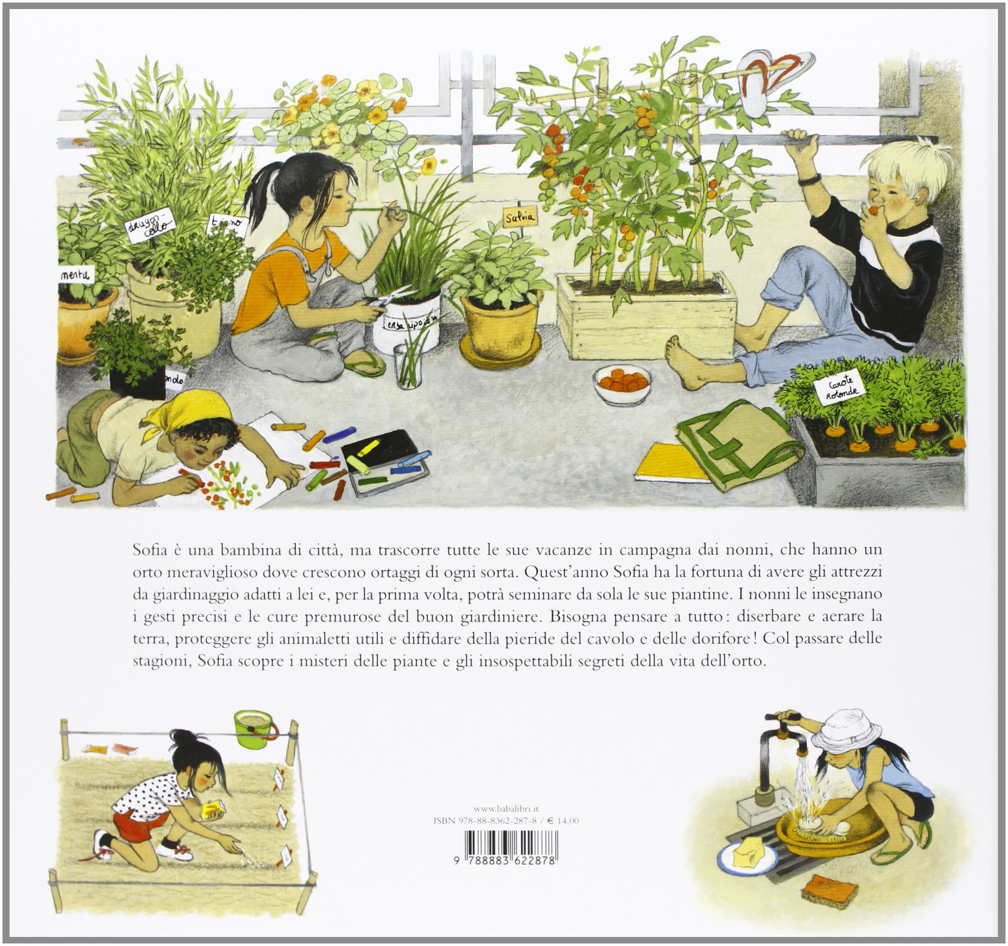 Babalibri La vita segreta dell'orto libro 40 pagine 29x27 cm