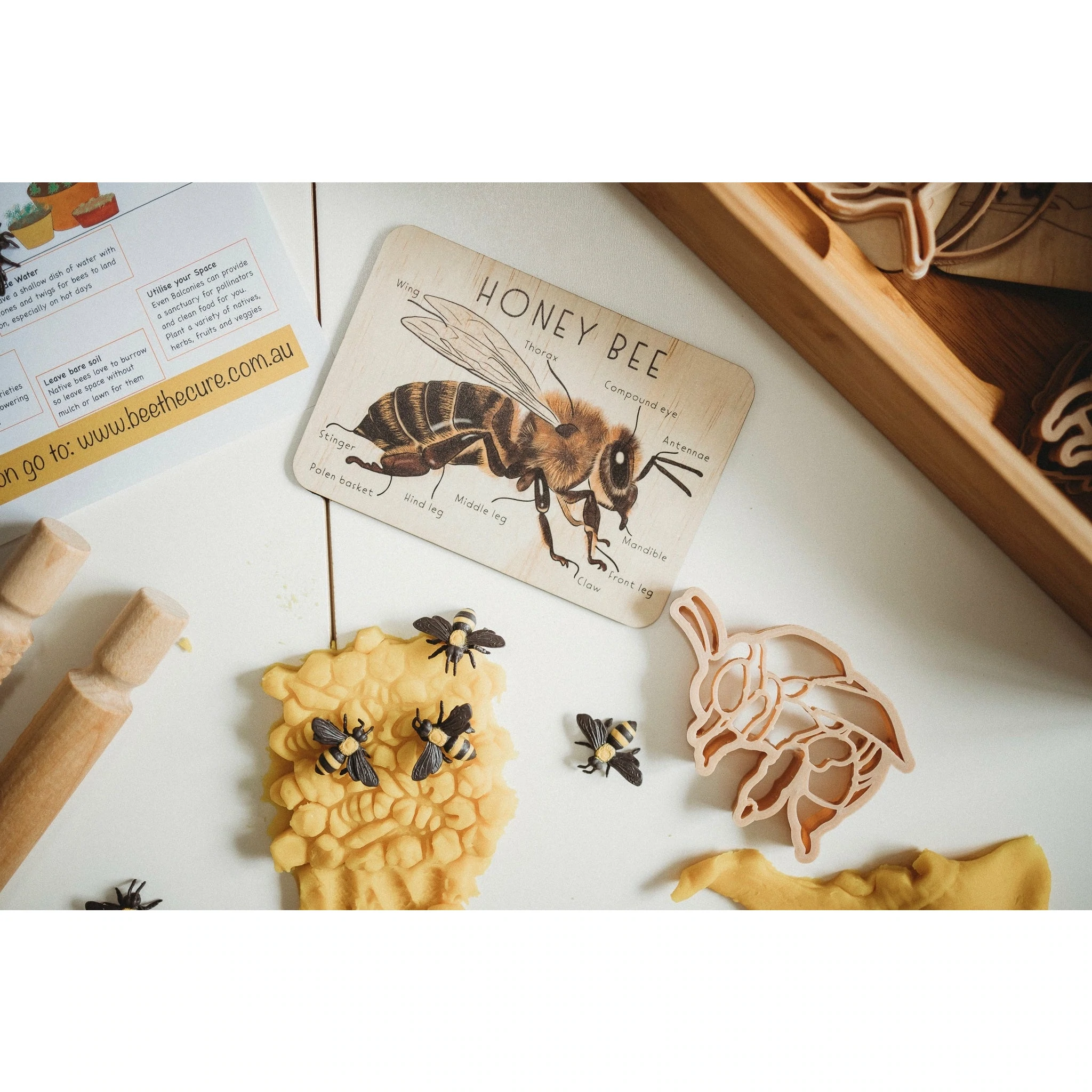 Kinfolk & Co Ape e Alveare formine eco 2 pezzi