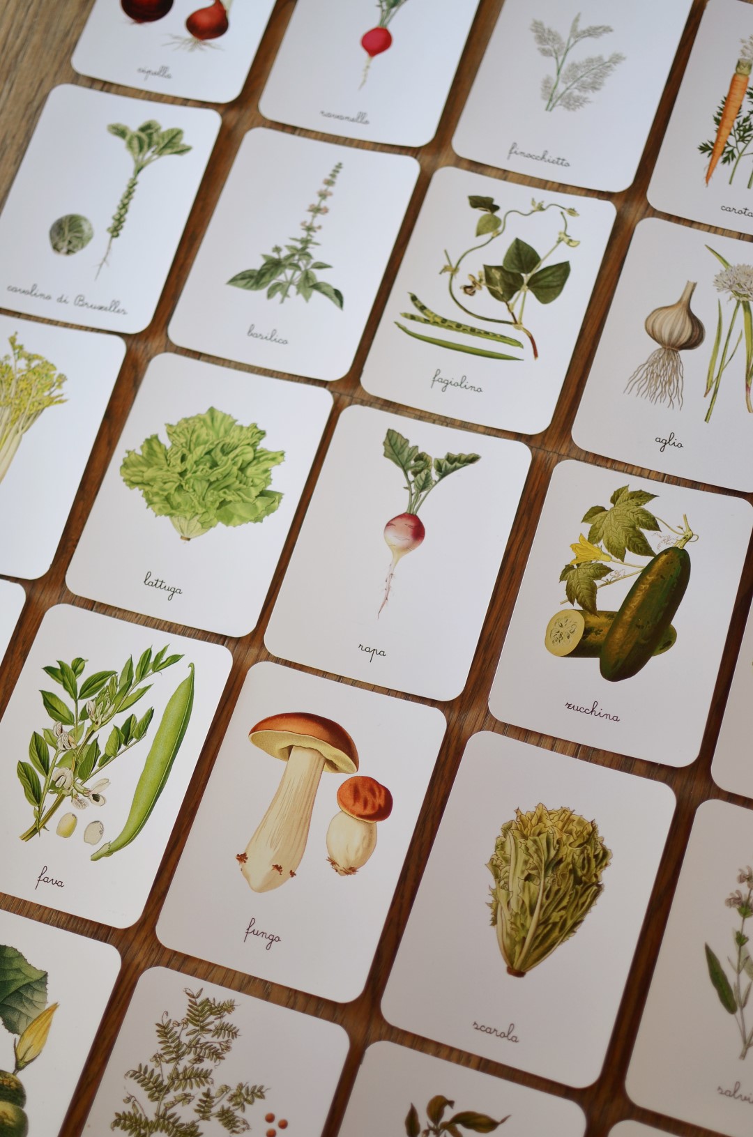 Baboo Frutta e Ortaggi carte montessori PDF 70 pagine natura