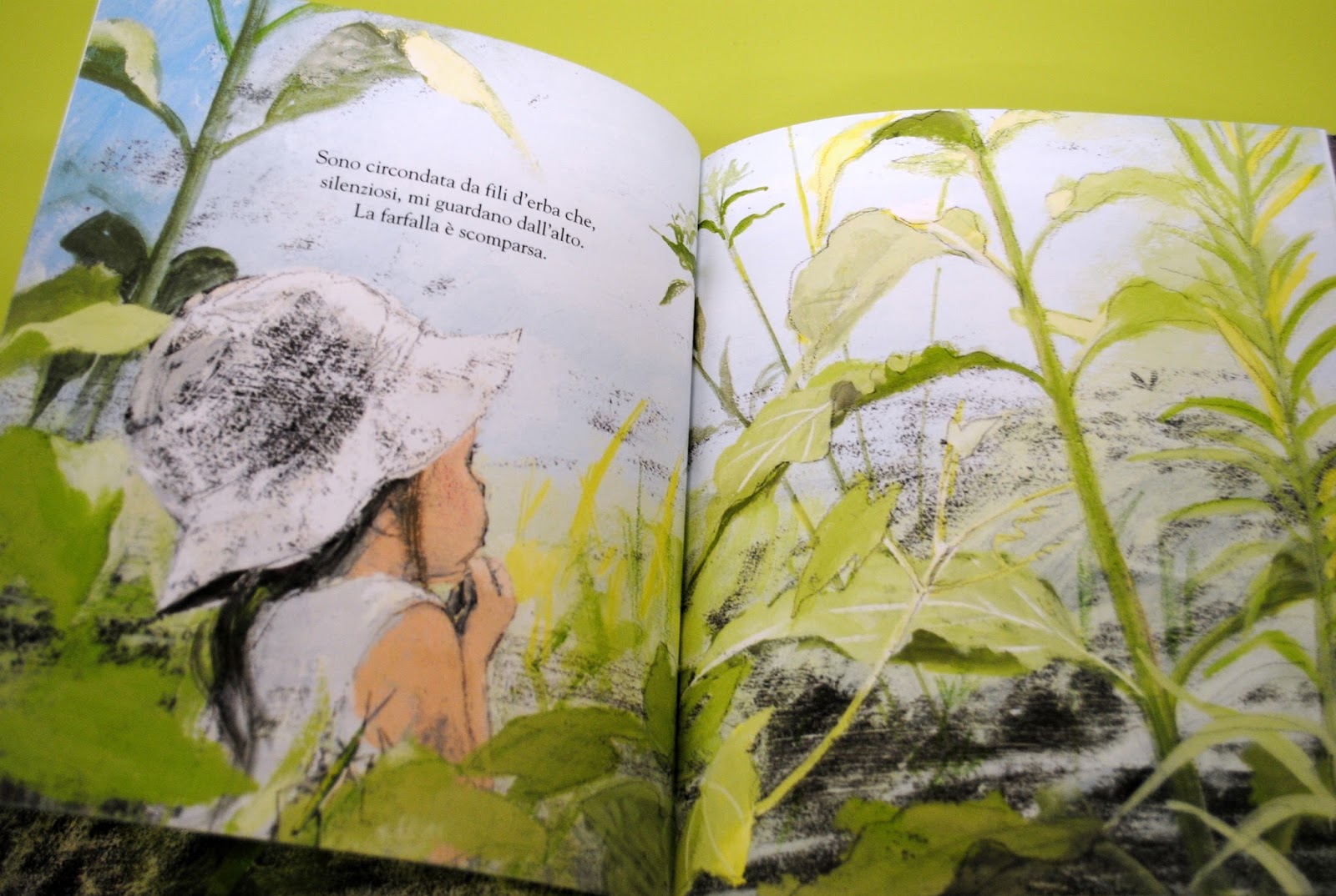 Komako Sakai Nell'erba albo illustrato Babalibri 26 pagine