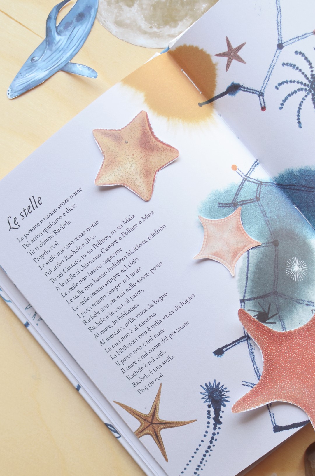 Terre di Mezzo La Forma del Mare Libro Poesie 3-6 Anni