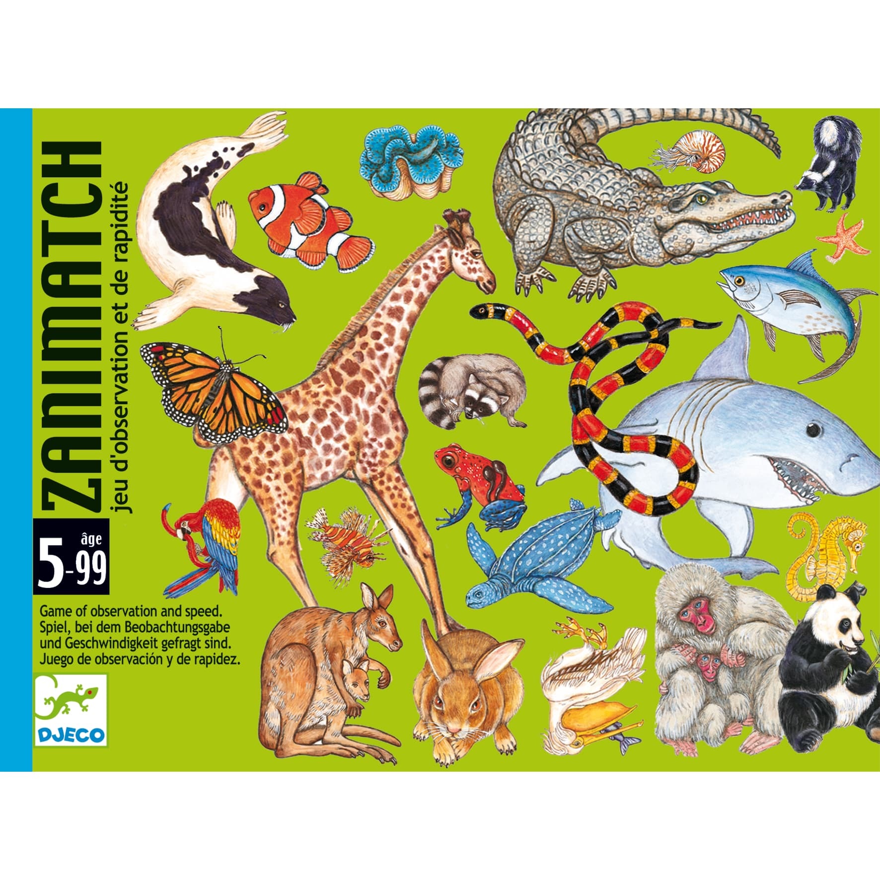 Djeco Zanimatch gioco di carte osservazione 5 anni+