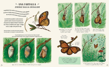 Giunti Piano piano libro natura 50 storie 128 pagine