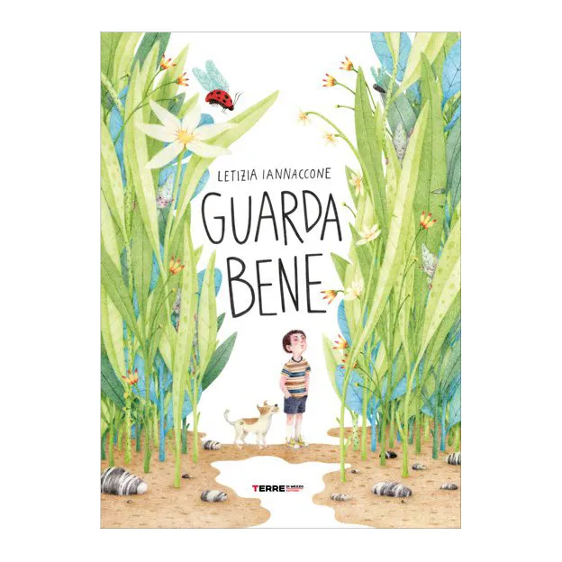 Terre di Mezzo Guarda bene libro silent book 40 pagine