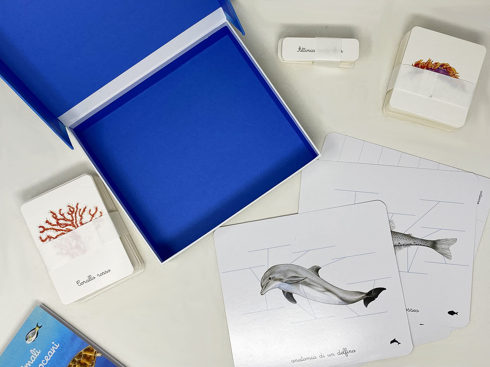 L'Ippocampo Cofanetto Montessori Oceani con Carte e Libro