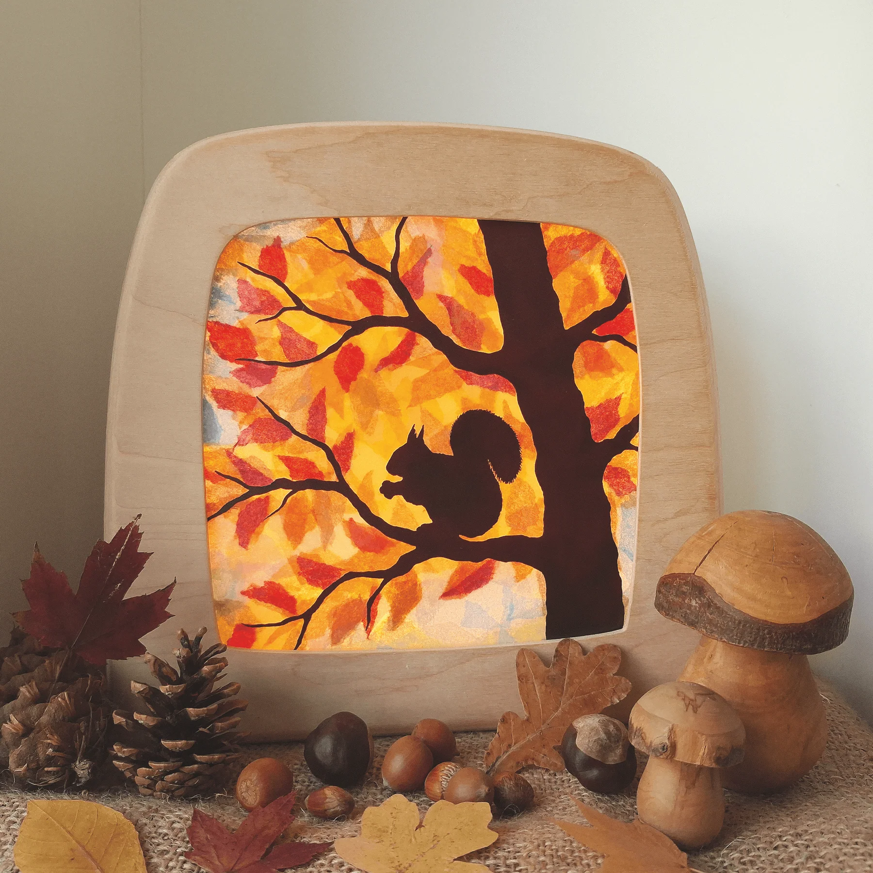 Toverlux Squirrel set artistico crea trasparenza
