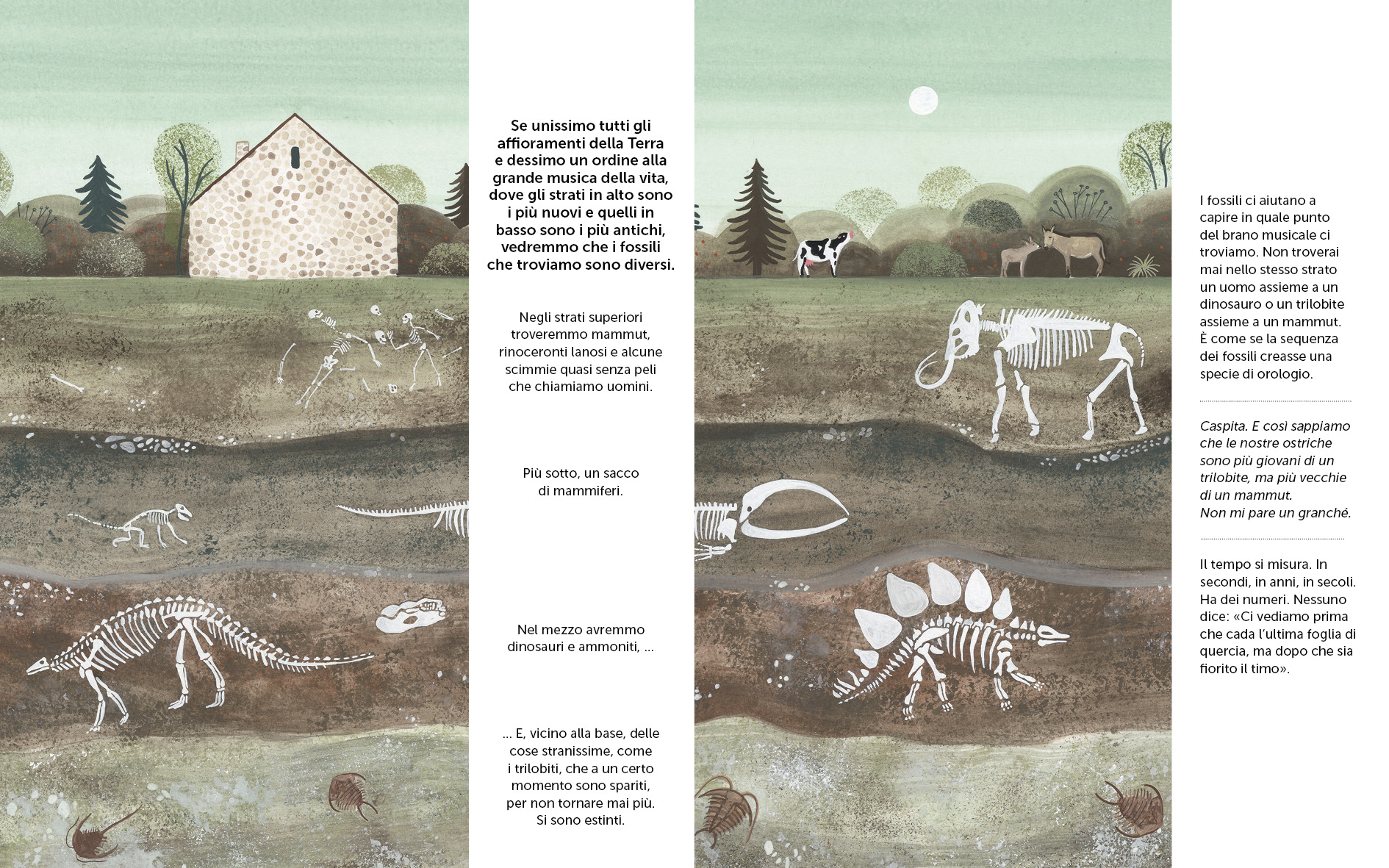 Camelozampa Un Milione di Ostriche libro 48 pagine da 7 anni
