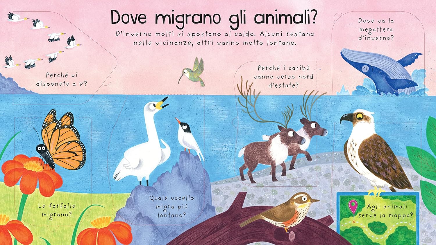 Usborne Dove vanno d’inverno gli animali? libro con alette