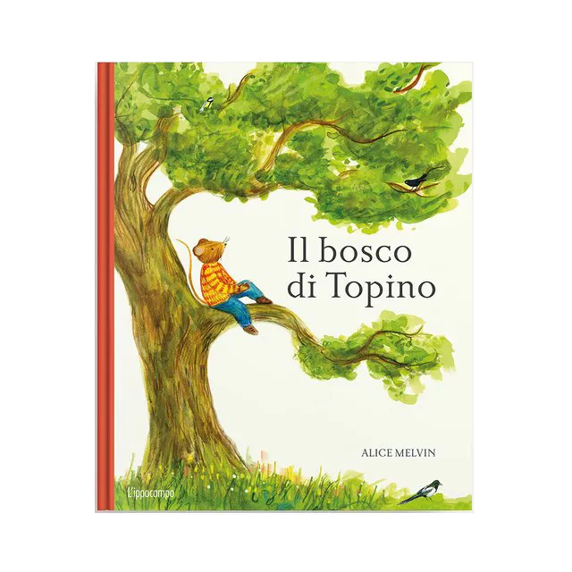 L'Ippocampo Bosco di Topino Libro con Finestrelle 3-6 Anni